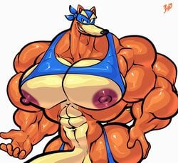 abs big_muscles bobthetanuki canine dora_the_explorer extrasizedbob fox male male_only mammal muscles muscular nickelodeon nipples pecs penis smile solo swiper what