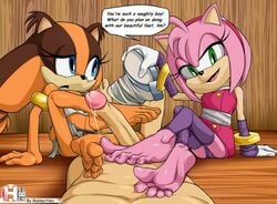 amy rose from sonic (series) by rankerhen