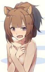 1girls angry animal_ears animal_humanoid bangs breasts brown_hair covering_breasts female female_only kakura_mina medium_breasts nude open_mouth ponytail raccoon raccoon_ear raccoon_ears raccoon_girl raphtalia solo tate_no_yuusha_no_nariagari upper_body