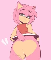 amy_rose animated anthro anus anus_focus ass bottomless clothed clothing female genitals looking_at_viewer looking_back mammal partially_clothed pink_body pussy sega sh1vss shaking_butt short_playtime solo sonic_(series) sonic_the_hedgehog_(series) spread_butt spreading tail upskirt