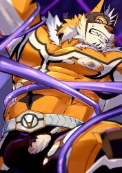 abs anthro belt clothing felid flaccid fur genitals hi_res katoributa_a lifewonders live_a_hero male mammal mask muscular muscular_anthro muscular_male nipples pantherine pecs penis penis_base ryekie_(live_a_hero) striped_body striped_fur stripes superhero tentacle tentacles_on_male tiger torn_clothing wardrobe_malfunction