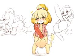 1futa 1girls 2018 abdominal_bulge animal_crossing animal_genitalia animal_penis anthro balls balls_deep balls_to_knees big_balls breasts canine canine_penis chaiko_(artist) chaiko_(chaikodog) chest_bulge cleavage cum cum_inflation cum_inside deep_penetration fur furry futa_focus futa_on_female futanari huge_balls huge_cock intersex isabelle_(animal_crossing) knot knotting large_penis larger_female nintendo pectoral_bulge penis rori_(artist) small_but_hung small_dom_big_sub smaller_futanari stomach_bulge yellow_fur