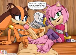 amy rose from sonic (series) by rankerhen