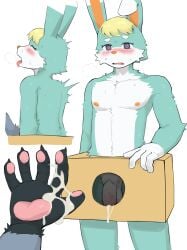 raymond (animal crossing) from animal crossing by roo310