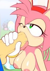 amy rose from sega by supersegasonicss