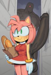 amy rose from sonic (series)
