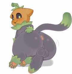 pumkat from halloween by drachia sith