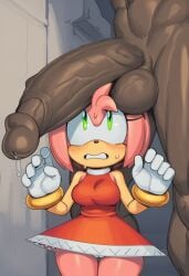 amy rose from sonic (series)