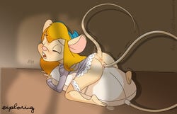 2007 anthro anthrofied anus chip_'n_dale_rescue_rangers disney fur furry gadget_hackwrench malachi mouse pussy