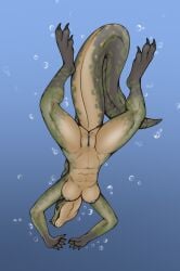 abs anna_(user_55) anthro aquatic areola breasts bubble butt countershading diving eel female fin fish genitals green_body hi_res long_tail low-angle_view moray_eel muscular muscular_female nipples non-mammal_breasts nude simple_background solo spread_legs spreading swimming tail ulven-f underwater vulva water yellow_eyes
