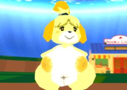 animal_crossing anthro anthro_female chubby_female hyper isabelle_(animal_crossing) overweight shortstack