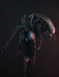 3d alien alien_(franchise) anus ass female female_xenomorph hi_res invalid_tag nhornissa pussy saliva source_filmmaker teeth xenomorph