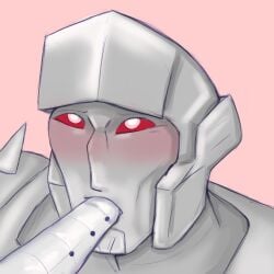megatron from transformers