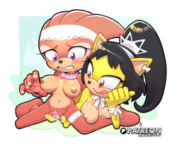 areola black_hair breasts domestic_cat duo echidna felid feline felis female female/female fingering fur hair hi_res honey_the_cat mammal monotreme nipples orange_eyes purple_eyes red_body red_fur rikoandtako sega shade_the_echidna sonic_chronicles:_the_dark_brotherhood sonic_the_fighters sonic_the_hedgehog_(series) vaginal vaginal_fingering yellow_body yellow_fur