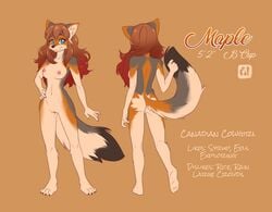 anthro blue_eyes breasts brown_hair canid canine canis coyote dragonfu female hair mammal maple_flake model_sheet multicolored_hair nipples nude pussy simple_background solo standing tan_background two_tone_hair