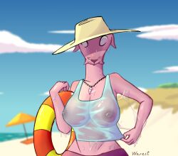 anthro bald beach big_breasts breasts clothing cyclostomata female fish hagfish_(animal) hat headgear headwear huge_breasts jawless_fish jewelry marine necklace nude pink_body pink_skin sea shell sky slime solo topwear warest water wet wet_body wet_clothing wet_topwear