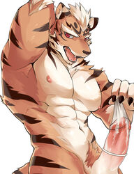 2019 abs anthro biceps chung0_0 condom erection felid feline felis fur hair hi_res male male_only mammal muscular muscular_male nipples nude pantherine pecs penis pubes solo tiger