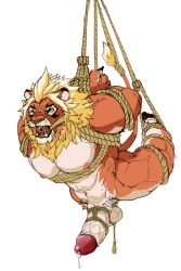 angry anthro ball_bondage ball_gag ball_rope balls bodily_fluids bondage bound cygames felid gag gagged genital_fluids genital_rope genitals hands_behind_back humanoid_genitalia humanoid_penis leaking_precum lion magnos_(world_flipper) male male_focus male_only mammal muscular nipples nude pantherine penis penis_bondage penis_rope precum precum_string red_eyes restraints rope rope_bondage sewind simple_background solo submissive_male suspended_in_midair suspension suspension_bondage world_flipper