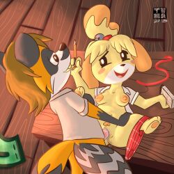 1boy 1girls animal_genitalia animal_penis female furry furry_male isabelle_(animal_crossing) male male_anthro poorly_tagged sex tagme tvma