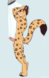 amur_leopard anthro balls casparr closed_eyes cole_(cole_rs) erection felid feline fur hair hi_res humanoid_penis leopard male male_only mammal nude pantherine penis scar shower simple_background smile solo spots spotted_fur wet