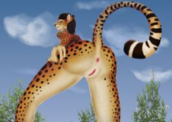 absurd_res anthro ass cheetah cloud felid feline female fur hair hi_res invalid_tag mammal onde.pingvin outside smile solo spots