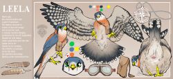 absurd_res animal_genitalia ass avian bag bird cloaca clothing detailed feathers feet female feral genitals glowing glowing_eyes headgear headwear hi_res jewelry kestrel(bird) marul marul_art model_sheet necklace solo spread_tail spread_wings tail tail_feathers talons toes wings