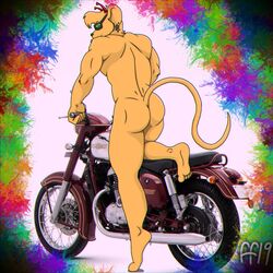 1boy 2019 anthro ass biker_mice_from_mars ear_piercing earrings fabfelipe furry male male_only motorcycle mouse muscles muscular muscular_male naked nude pose solo solo_focus solo_male sunglasses throttle_(bmfm)