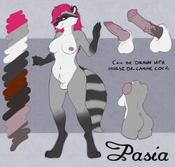 animal_genitalia animal_penis anthro breasts canine_penis dickgirl dunnowhattowrite equine_penis fully_sheathed hi_res horsecock intersex invalid_tag mammal model_sheet pasia penis procyonid raccoon sheath