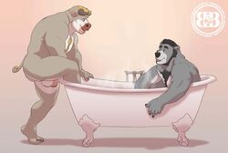 2019 5_fingers anthro anthro_on_anthro asher_(bruteandbrawn) ass balls bathtub biceps blonde_hair body_hair bovid bovine bruteandbrawn cattle chest_hair duo facial_hair flaccid hair horn humanoid_penis male mammal muscular muscular_male nude pecs penis sideburns torben ursid yaoi