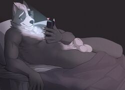 2019 anthro balls bed_sheet bedding canid canine canis claws eye_patch eyewear fetchmonkey fur grey_fur heart hi_res lying male male_only mammal nintendo nude phone smile solo star_fox video_games wolf wolf_o'donnell