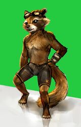 anthro bottomwear brown_fur bulge cheetahpaws clothed clothing eyewear full-length_portrait fur goggles greenscreen guardians_of_the_galaxy hi_res male male_only mammal marvel penis_outline portrait procyonid raccoon rocket_raccoon shorts simple_background solo standing topless whiskers