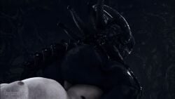 2boys alien alien_(franchise) anal anal_sex animated big_ass bubble_ass bubble_butt fat_man huge_ass human_on_humanoid no_sound rayhuma tagme video xenomorph