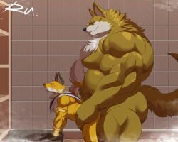 anal anal_sex anthro biceps canid canine canis dragon_ball dragon_ball_super duo fox fur hi_res lavender_(dragon_ball_super) liquiir male male/male mammal muscular muscular_anthro muscular_male penetration reclamon size_difference tail wolf yellow_body yellow_fur