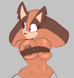 sticks the badger from sega by susknuckles