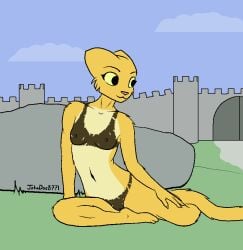 aliasing anthro bottomwear breasts clothing countershading digital_media_(artwork) eyebrows feet felid female female_anthro field flat_colors footwear fur genitals grass hi_res johndoe8771 katia_managan khajiit kvatch mammal microsoft multicolored_body multicolored_fur nails navel nipples outside painted_underwear pants plant plantigrade prequel_adventure pussy relaxing rock sash shirt shoes sitting small_breasts smile solo tail the_elder_scrolls toes topwear underwear wall_(structure) yellow_body yellow_eyes yellow_fur