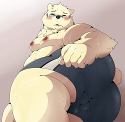 2019 anthro ass balls belly blue_eyes blush boxers_(clothing) clothing eyewear glasses hi_res humanoid_hands humanoid_penis male male_only mammal moobs nipples overweight overweight_male penis polar_bear pomupomu490 simple_background solo sweat underwear ursid ursine