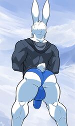 ass balls big_balls big_penis bulge clothing hi_res hoodie lagomorph leporid male male_only mammal muscular muscular_male penis rabbit rokiloki shay_(rokiloki) underwear