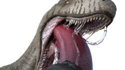 16:9 3d 4k absurd_res blackburn538 cum daz dragon equid equine hi_res horse male mammal open_maw penis studio teeth tongue