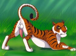animal_genitalia animal_penis anus balls cajuzinho02 felid feline feline_genitalia feline_penis feral genitals hi_res male male/male mammal pantherine penis shere_khan solo the_jungle_book tiger