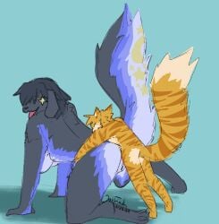 absurd_res all_fours anthro artist_name canid canine canis digital_drawing_(artwork) digital_media_(artwork) doggy_style domestic_cat domestic_dog duo felid feline felis female from_behind_position fur hi_res larger_female larger_penetrated looking_back male male/female mammal markings meri_(oakfinch) moon_(marking) multicolored_body multicolored_fur oakfinch penetration pleased_expression raised_tail sex shaded signature size_difference smaller_male star_(marking) tabby_cat tail text ty_(bit)