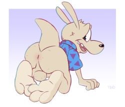 all_fours anthro anus ass balls big_butt bottomless clothed clothing feet genitals hi_res looking_back macropod male mammal marsupial nickelodeon raised_tail rocko's_modern_life rocko_rama shirt shirt_only smile solo tail tbid topwear topwear_only wallaby