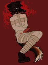 2024 animal_genitalia animal_penis anthro blue_eyes bondage bondage bound brown_body brown_fur brown_hair canid canine canine_genitalia canine_penis canis domestic_dog erection fur genitals hair hi_res knot male mammal muzzle_(object) muzzled penis puppy_meats red_background restraints rooster_(rottingxrooster) rottingxrooster simple_background solo straitjacket
