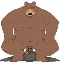 2024 anthro arufina_w balls bear belly black_nose bodily_fluids brown_body censored duo erection genitals hi_res humanoid_genitalia humanoid_hands humanoid_penis kemono male mammal moobs navel nipples overweight overweight_male penis sweat