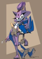 anthro blaze_the_cat copymirror domestic_cat duo eulipotyphlan felid feline felis female hedgehog male male/female mammal sega sonic_(series) sonic_the_hedgehog sonic_the_hedgehog_(series)