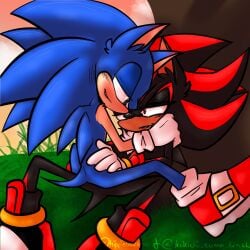 2boys collaboration gay hippiecockatoo male/male male_only mnsterfxcker mobian_(species) romantic romantic_couple sfw shadow_the_hedgehog sonadow sonic_(series) sonic_the_hedgehog sonic_the_hedgehog_(series) suggestive sunset yaoi