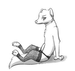 2018 anthro arm_support blush cheek_tuft chest_tuft clothing elbow_tufts erection fuel_(artist) greyscale head_tuft herpestid horizontal_pupils legwear looking_at_viewer male male_only mammal mongoose monochrome mostly_nude panties penis poking_out side_view simple_background sitting solo stockings terry_(a-signature) tuft underwear white_background