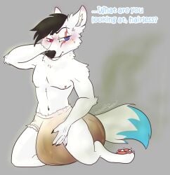 anthro danny_smoke_in_furry_land diaper diaper_fetish marshall_the_wolf scat shit soiling soiling_diaper talking talking_to_another talking_to_viewer text urine valenpornarc wolf wolf_boy