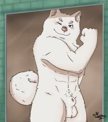 big_dick blue_eyes furry_dog furry_gay muscular_anthro undressed white_hair