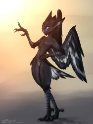 4_toes andromorph anisodactyl anthro avian avian_feet bird black_body black_feathers blue_eyes cuntboy feathered_wings feathers feet genitals hi_res intersex nude pose pussy smile solo tail tail_feathers toes wings zipper_7z