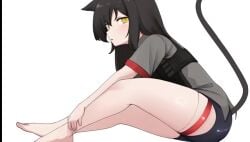 animal_ears black_hair black_shorts cat_ears cat_tail catgirl daebom feline_eyes kemonomimi legs long_hair looking_at_viewer nekomimi panther_a shiny_skin shorts tail thick_thighs thighhighs vertical_pupils war_thunder yellow_eyes